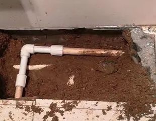 满城测漏水哪家好