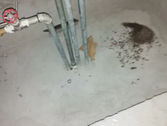 满城卫生间测漏水价格明细